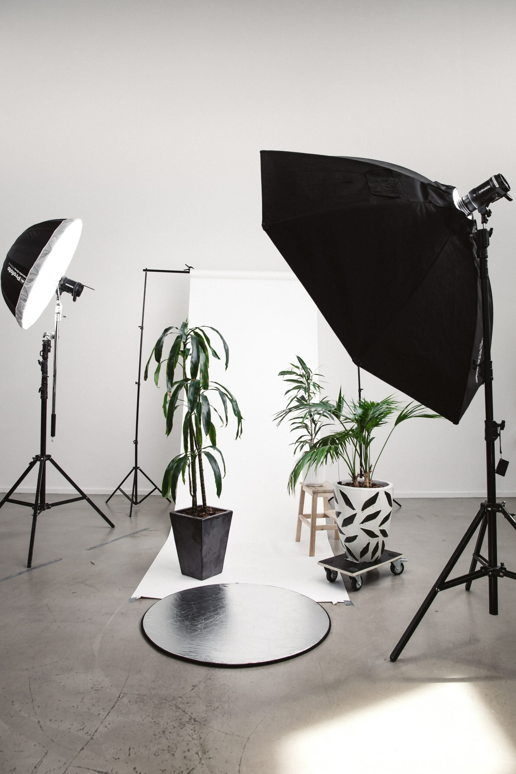 Photoshoot opsætning med planter der skal fotograferes